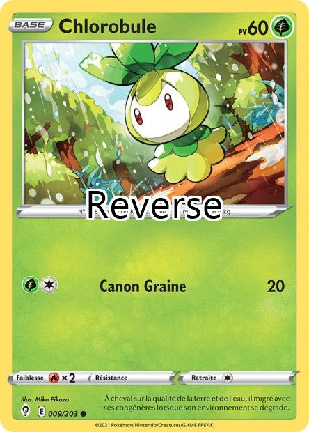 Chlorobule reverse