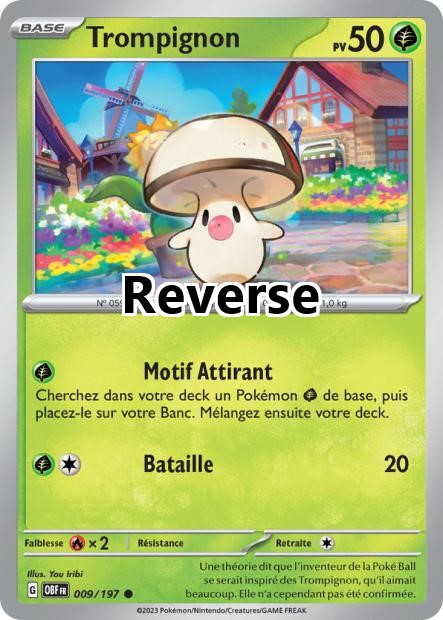 Trompignon reverse