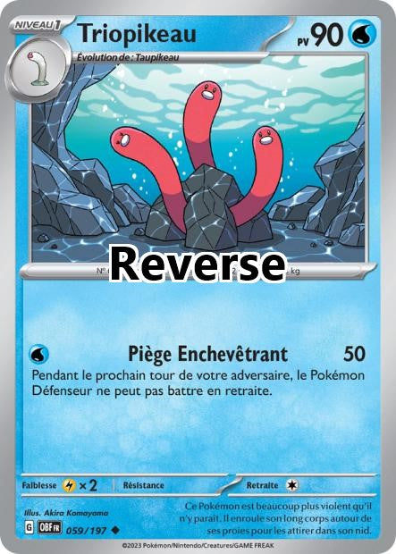 Triopikeau reverse