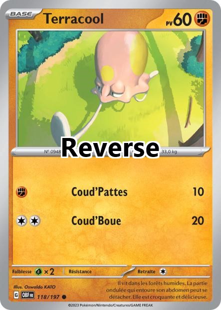 Terracool reverse