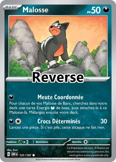 Malosse reverse