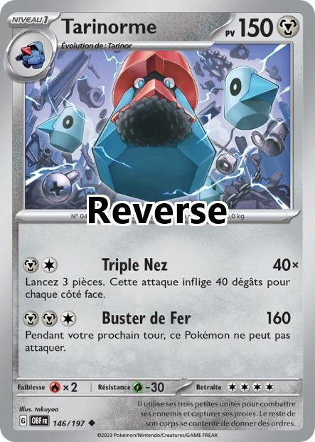 Tarinorme reverse