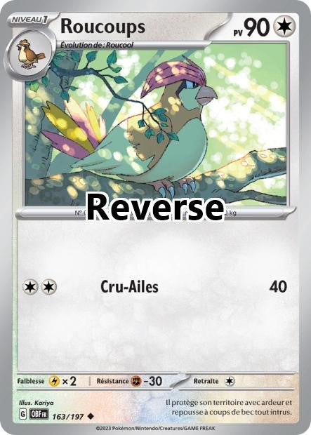 Roucoups reverse