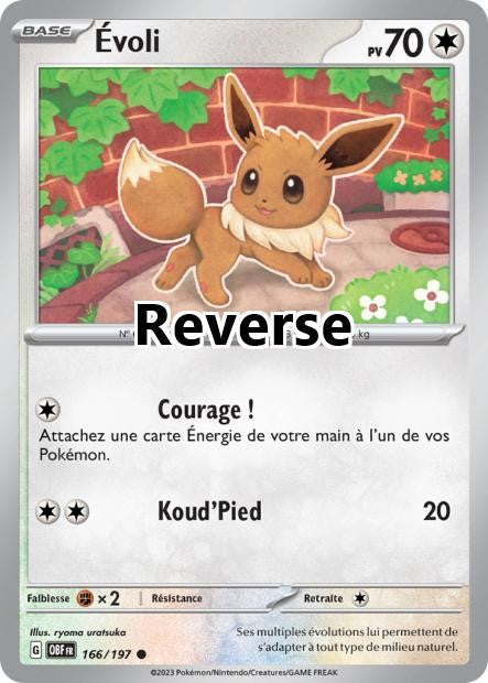Évoli reverse
