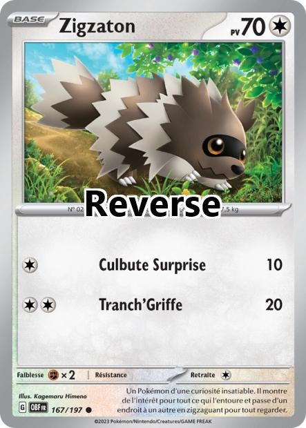 Zigzaton reverse
