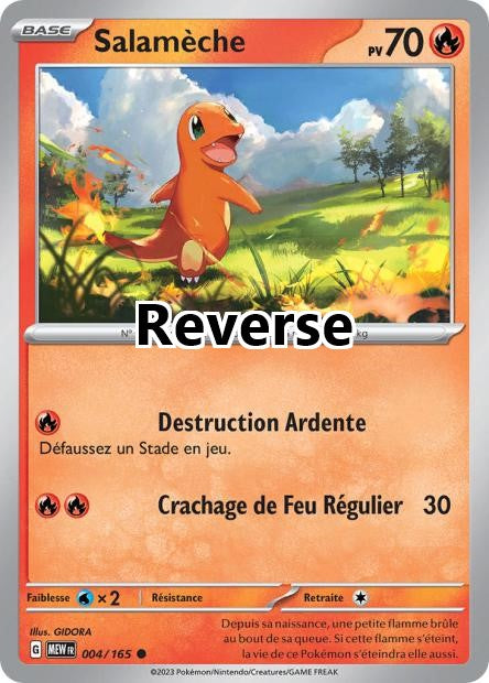 Salamèche reverse