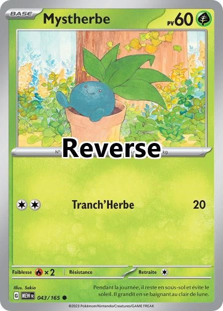 Mystherbe reverse
