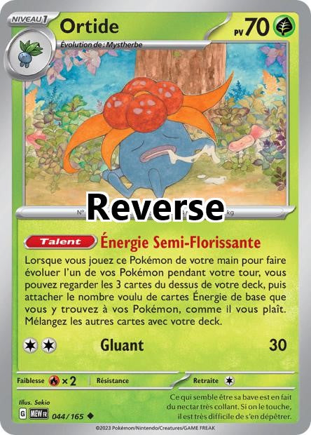 Ortide reverse