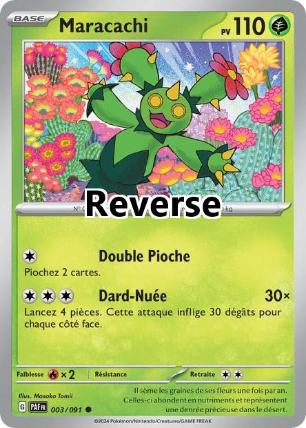 Maracachi reverse
