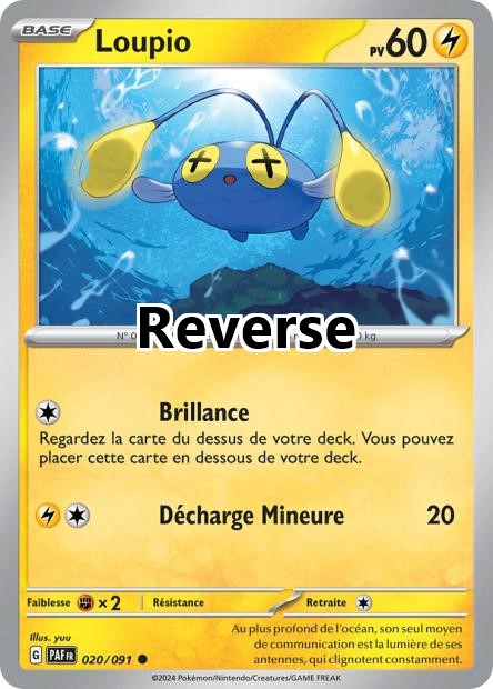 Loupio reverse