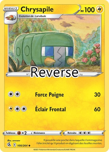 Chrysapile reverse