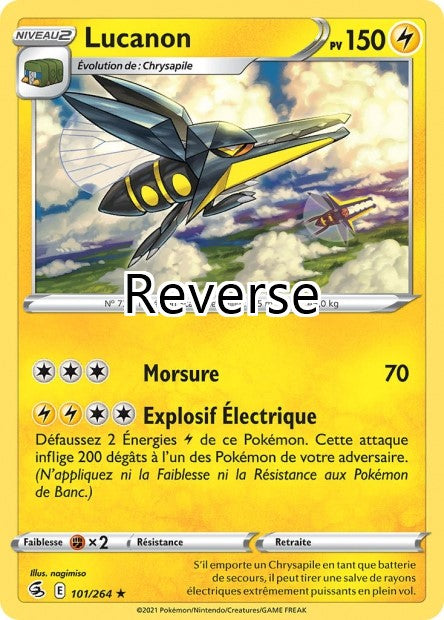 Lucanon reverse