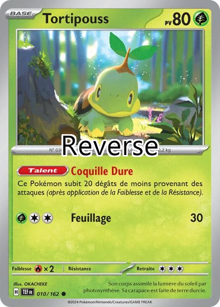 Tortipouss reverse