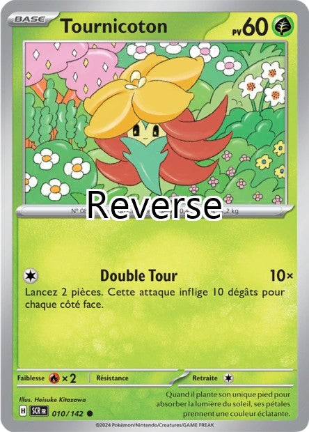 Tournicoton reverse