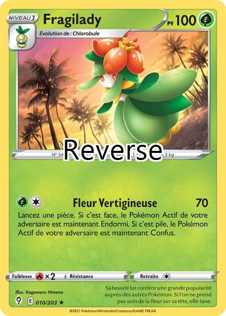 Fragilady reverse