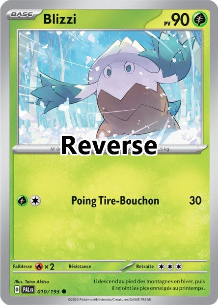Blizzi reverse