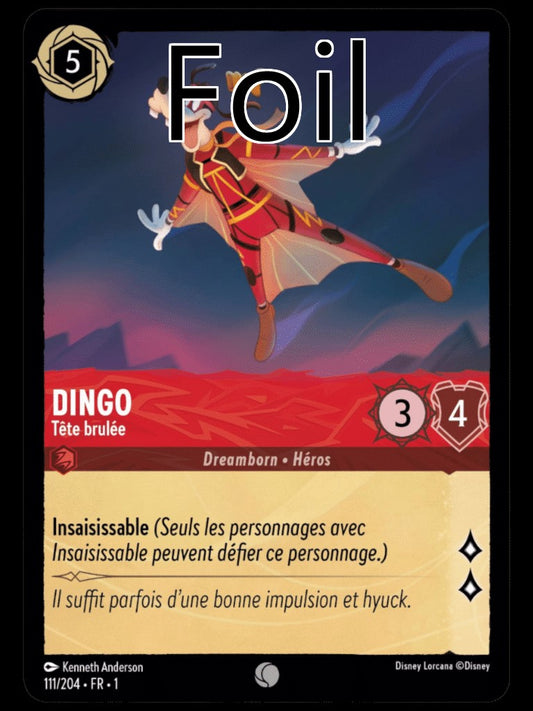 Dingo Foil 
Tête brulée