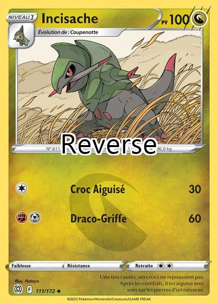 Incisache reverse