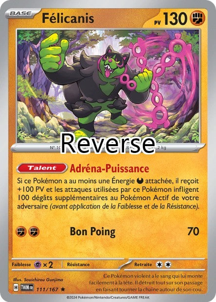 Félicanis reverse