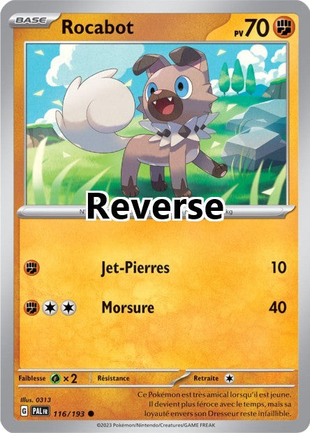 Rocabot reverse