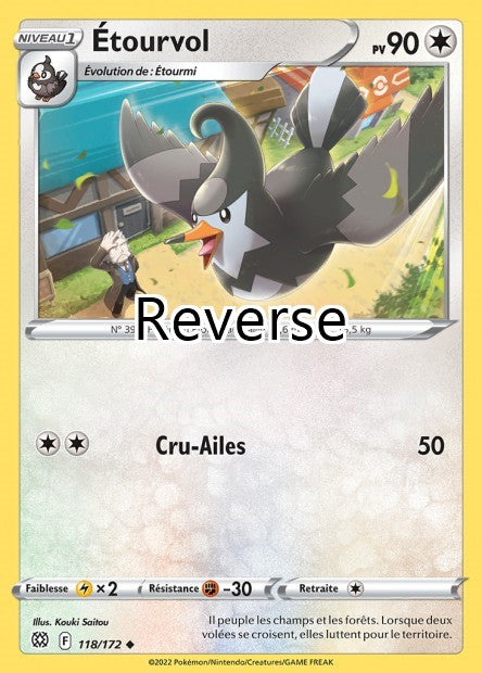 Étourvol reverse