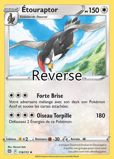 Étouraptor reverse