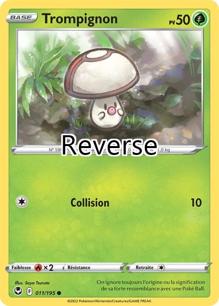 Trompignon reverse