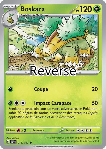 Boskara reverse