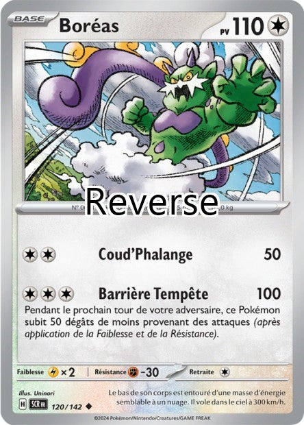 Boréas reverse