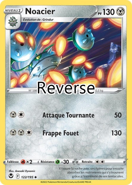 Noacier reverse