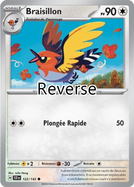 Braisillon reverse
