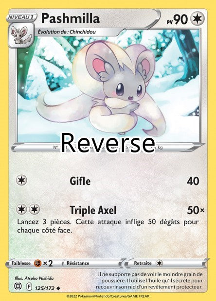 Pashmilla reverse