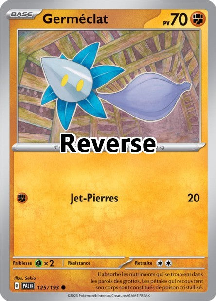 Germéclat reverse