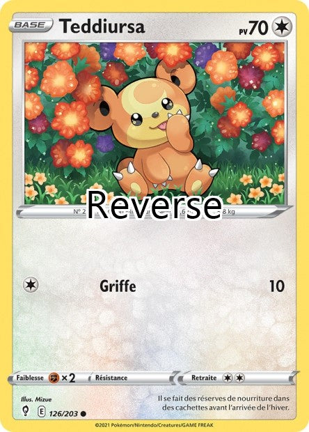 Teddiursa reverse