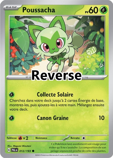 Poussacha reverse
