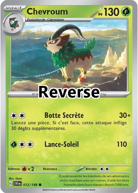 Chevroum reverse