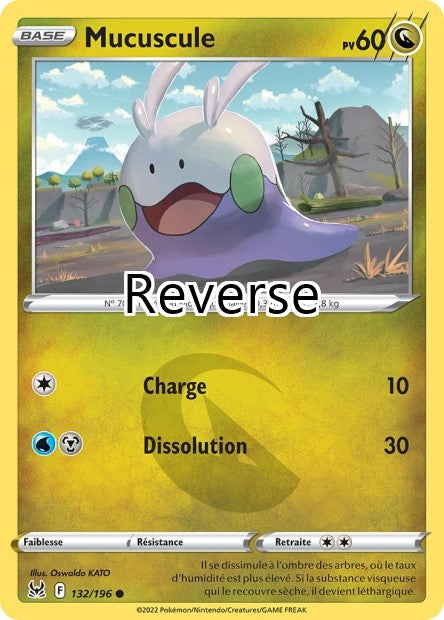 Mucuscule reverse