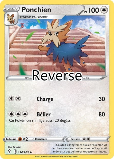 Ponchien reverse