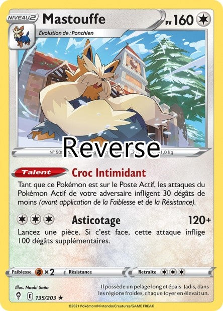 Mastouffe reverse