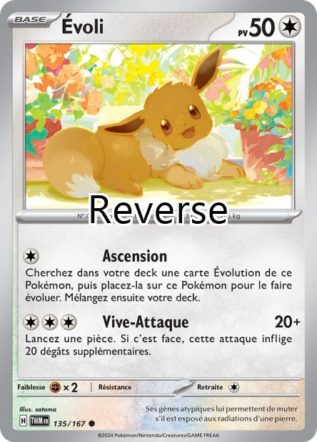 Evoli reverse