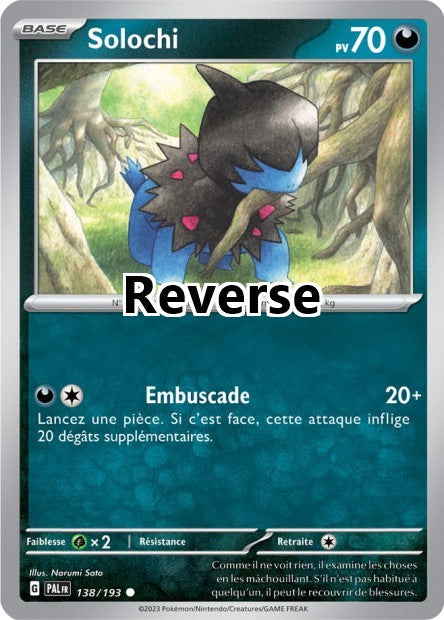 Solochi reverse