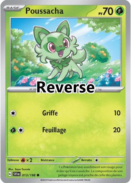 Poussacha reverse