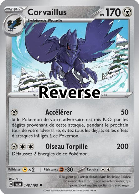 Corvaillus reverse
