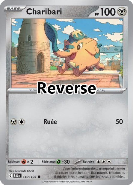 Charibari reverse