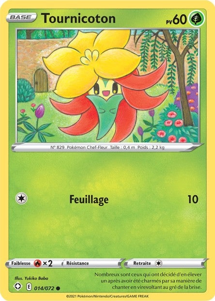 Tournicoton 014