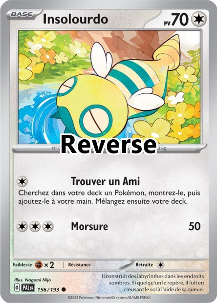 Insolourdo reverse