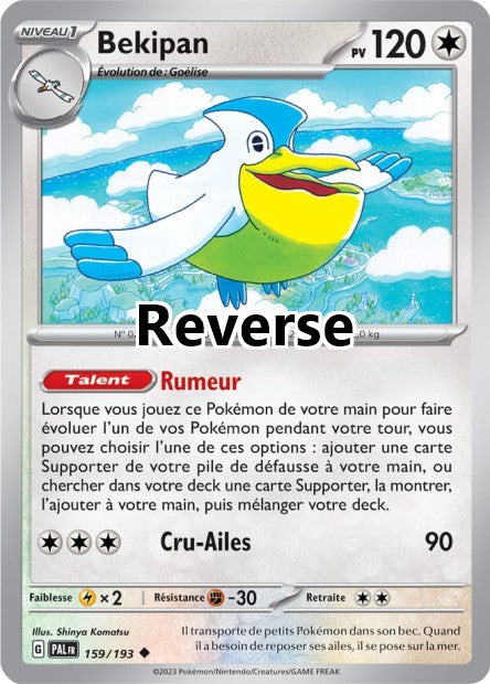 Bekipan reverse