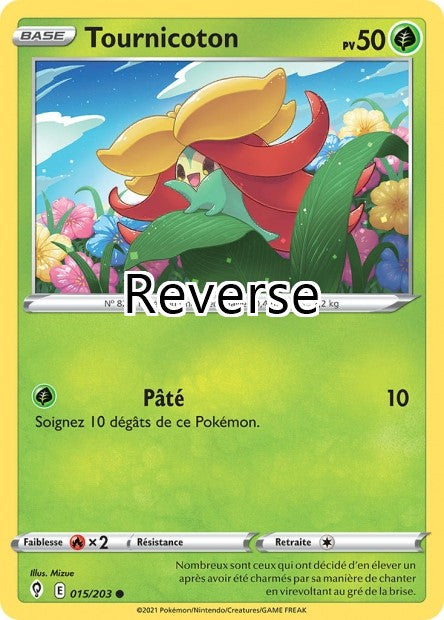 Tournicoton reverse