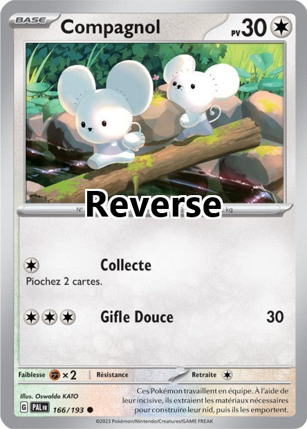 Compagnol reverse