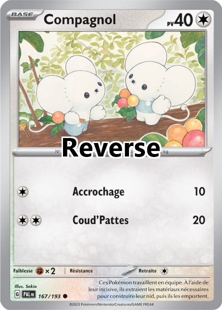 Compagnol reverse